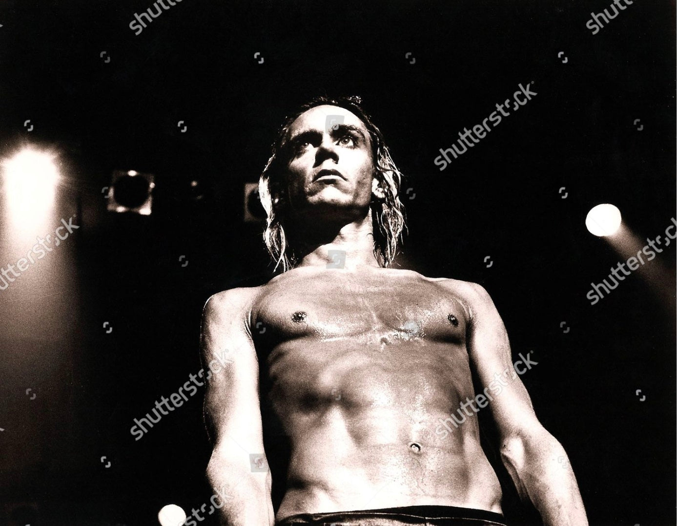 Iggy Pop, Los Angeles, California, USA - 1973