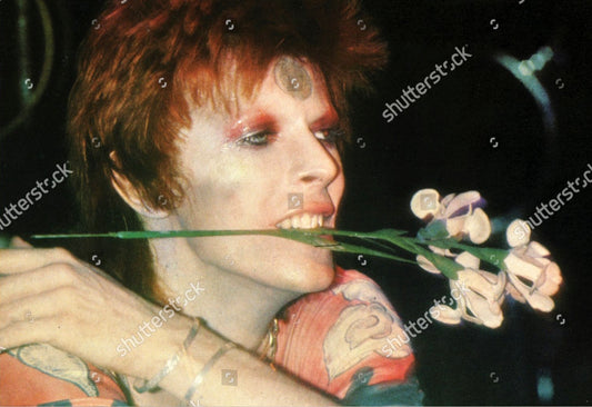 David Bowie at Spectrum in Philadelphia in 1973